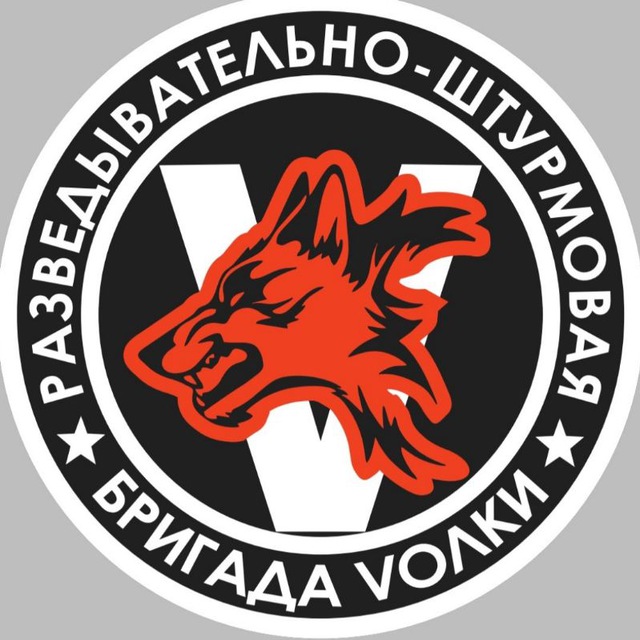 Аватар канала 1-я ДРШБр Волки 🐺