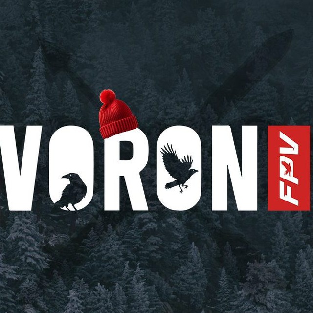 Аватар канала VORON🇷🇺FPV