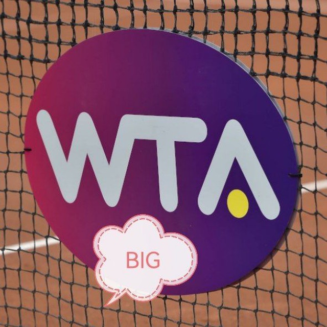 Аватар канала BIG WTA