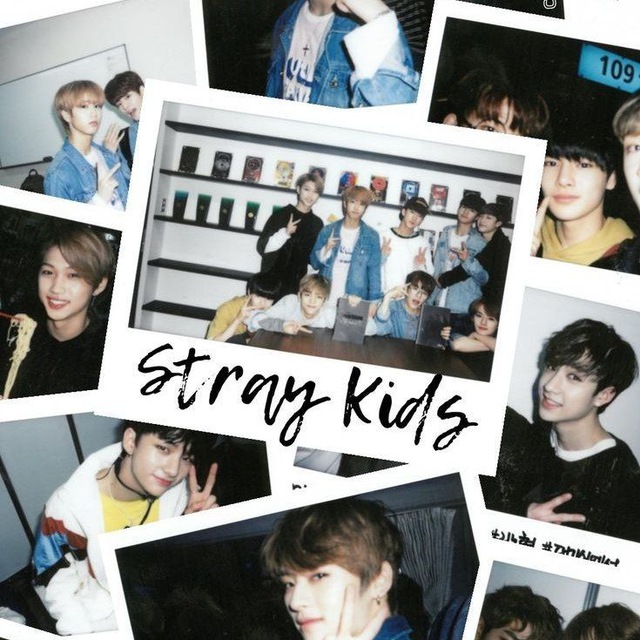 Аватар канала Stray Kids