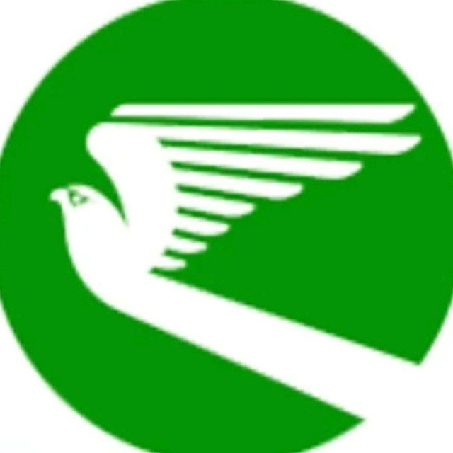 Аватар канала Генеральный агент Turkmenistan airlines в РФ