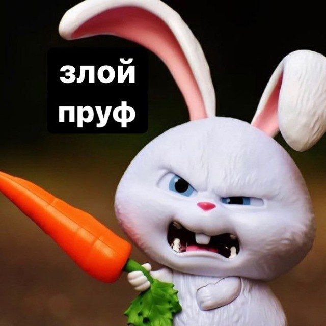 Аватар канала Zлой Пруфф