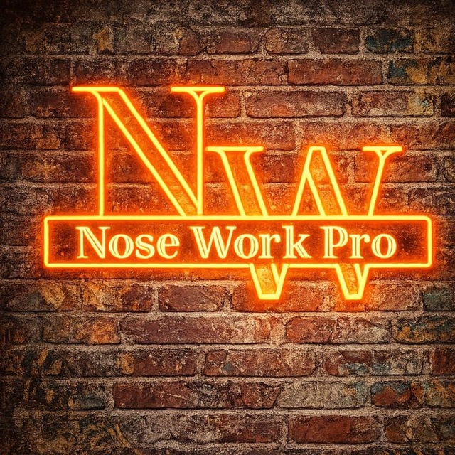 Аватар канала Nose Work PRO