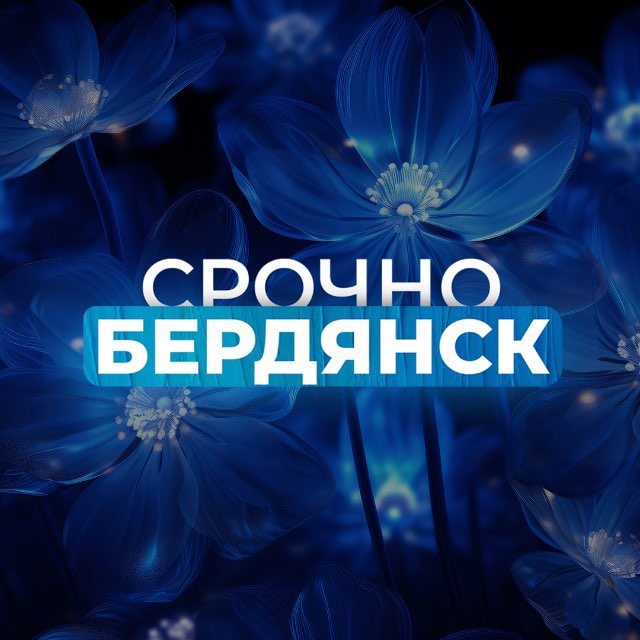 Аватар канала Срочно Бердянск‼️