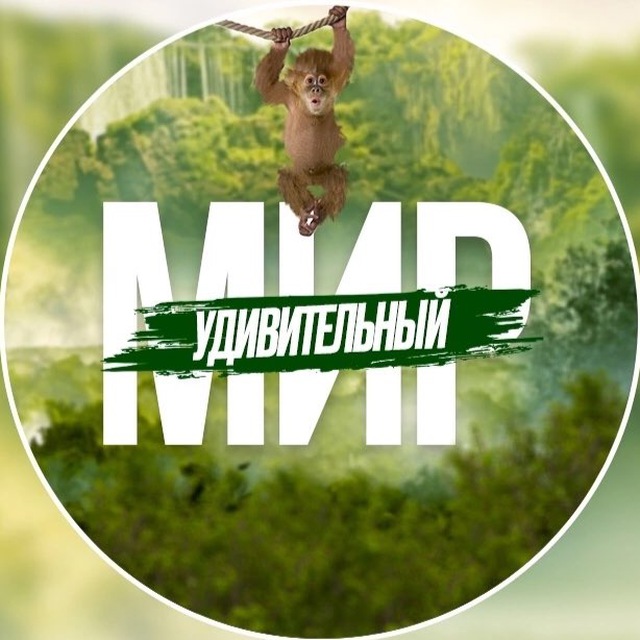 Аватар канала Удивительный Мир 🏝