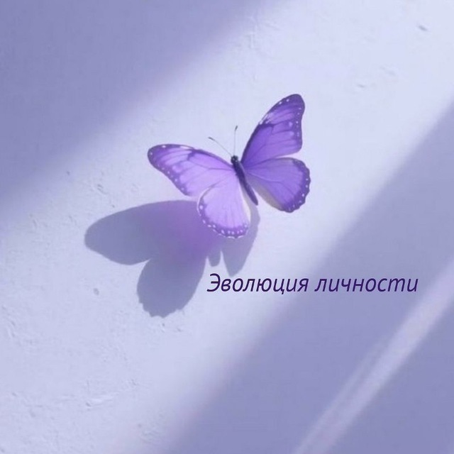 Аватар канала ЭВОЛЮЦИЯ ЛИЧНОСТИ