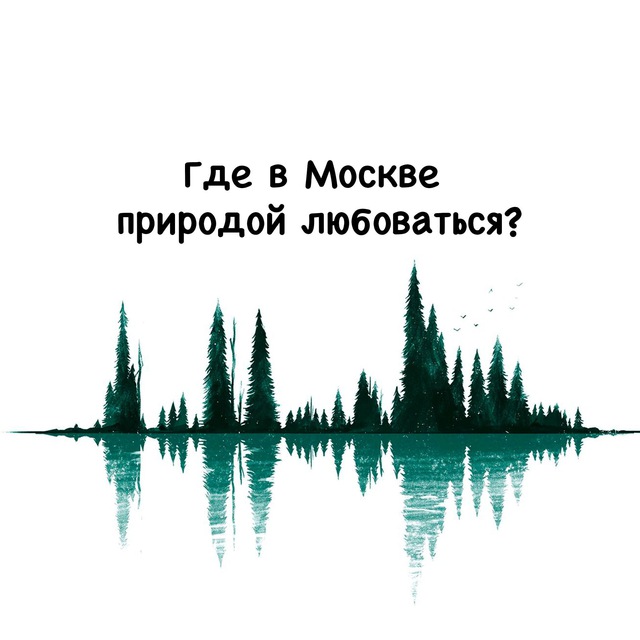 Аватар канала Где в Москве природой любоваться?