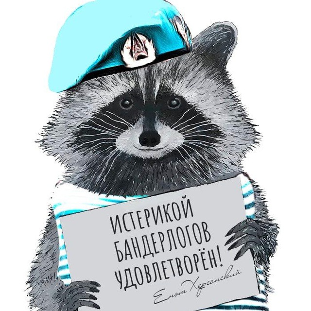 Аватар канала Енот из Херсона 🦝