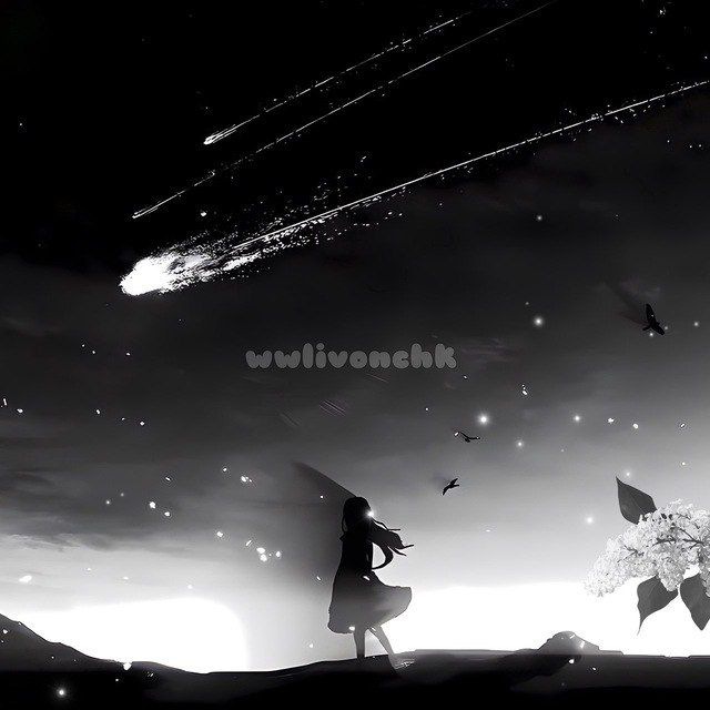 wwwlivonchik