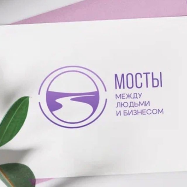 Аватар канала Мосты: между людьми и бизнесом