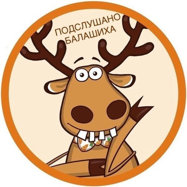 Аватар канала Новости Балашиха 📍