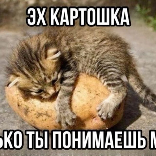Аватар канала палочка твикс чоотт