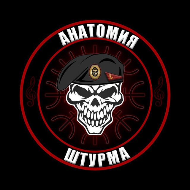 Аватар канала «Анатомия Штурма»