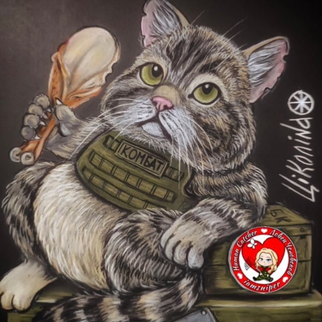 ФРОНТОВЫЕ БУДНИ КОТА КОМБАТА