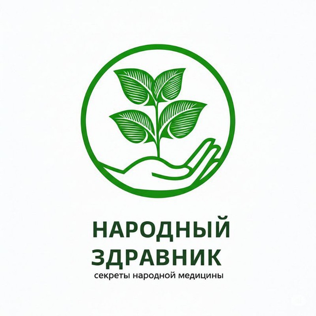 Аватар канала НАРОДНЫЙ ЗДРАВНИК