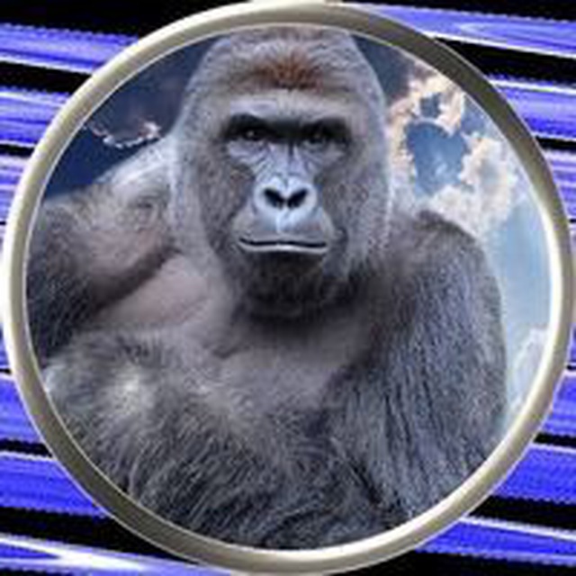 Аватар канала Harambe Portal
