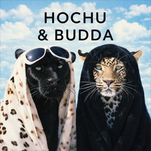 Аватар канала Hochu & Budda