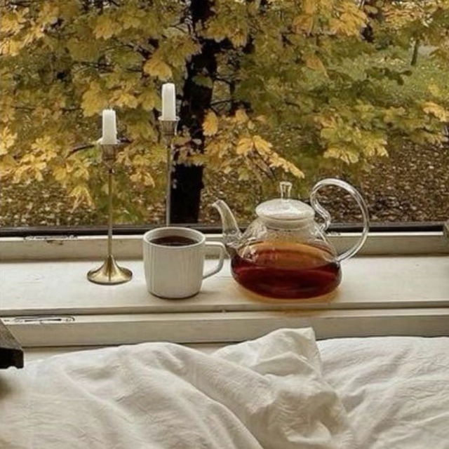 Аватар канала Чай в саду☕️🍂