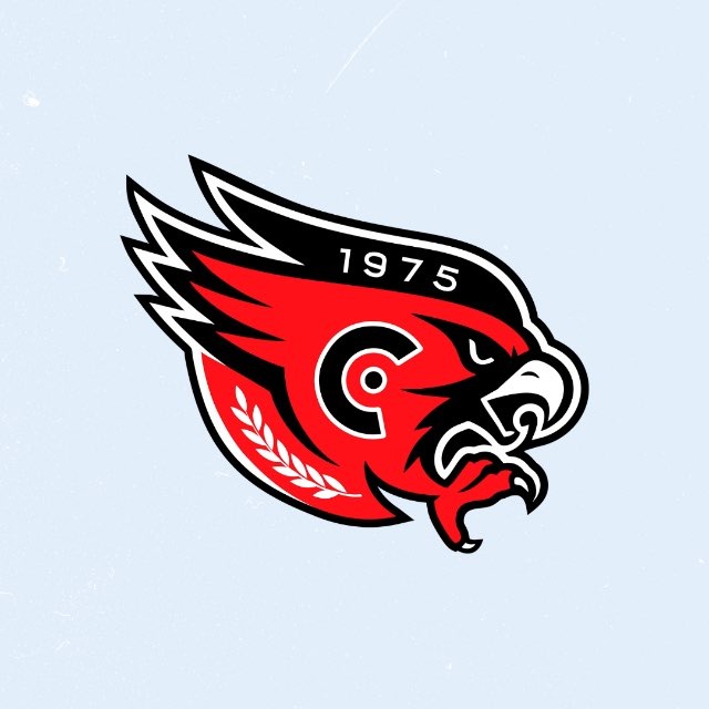 Аватар канала 🦅 ХК «Сокол» – Новочебоксарск