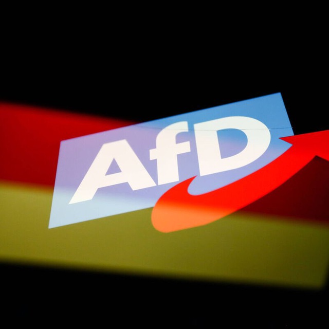 Аватар канала Afd Alternative für Deutschland Best Of