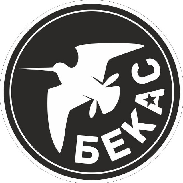 Аватар канала «БЕКАС» - FPV-ДРОНЫ, БЕСПИЛОТНЫЕ ТЕХНОЛОГИИ, АВИАЦИОННЫЕ СИСТЕМЫ🫡🇷🇺