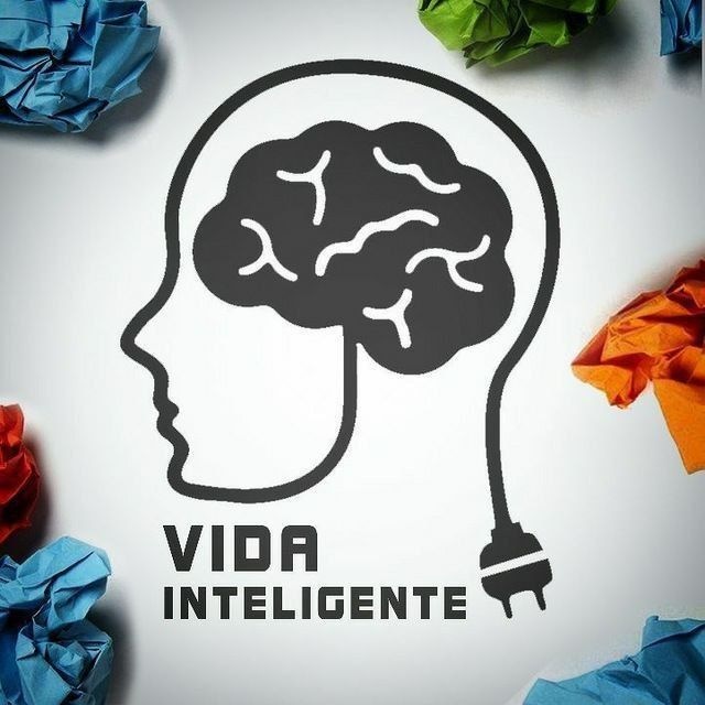 Аватар канала Vida Inteligente 🧠