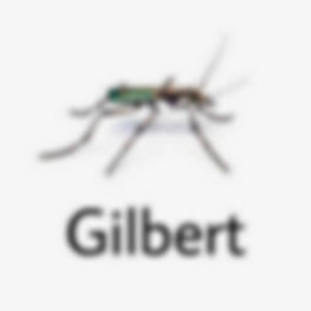 Аватар канала Gilbert