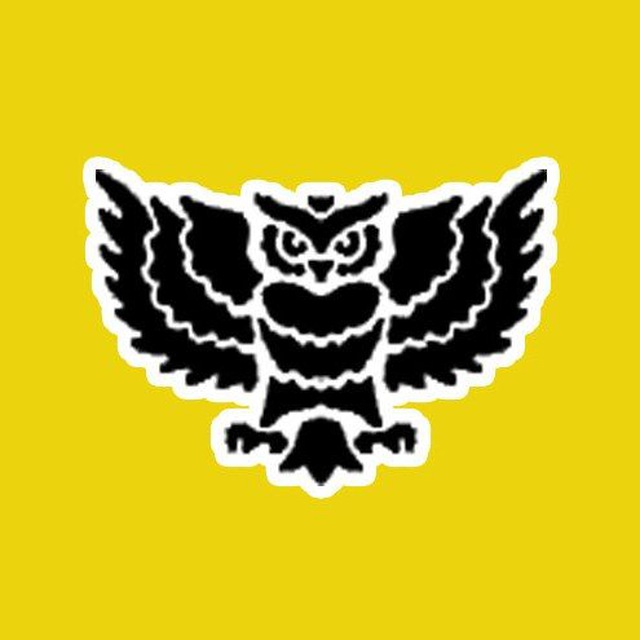 Аватар канала Ночной дозор