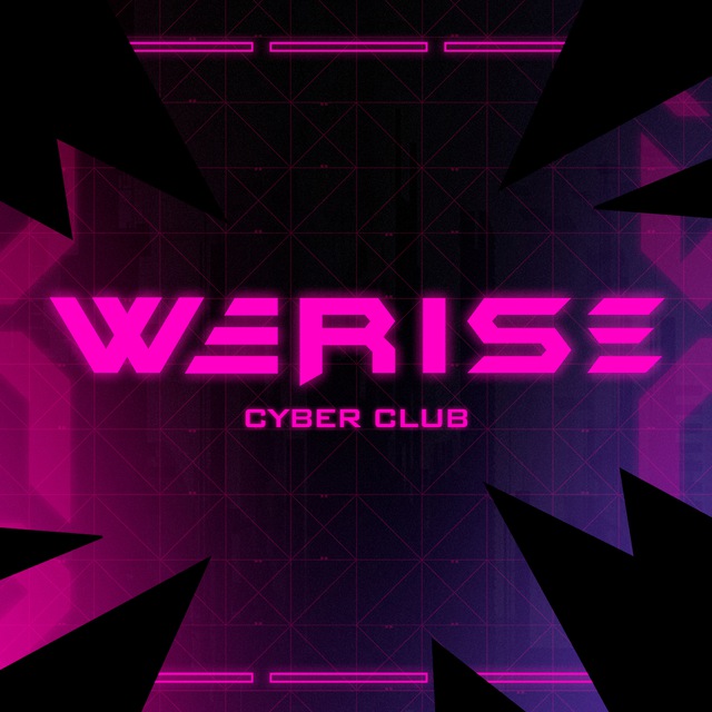 Аватар канала WERISE | Кибер-лаундж | Владивосток