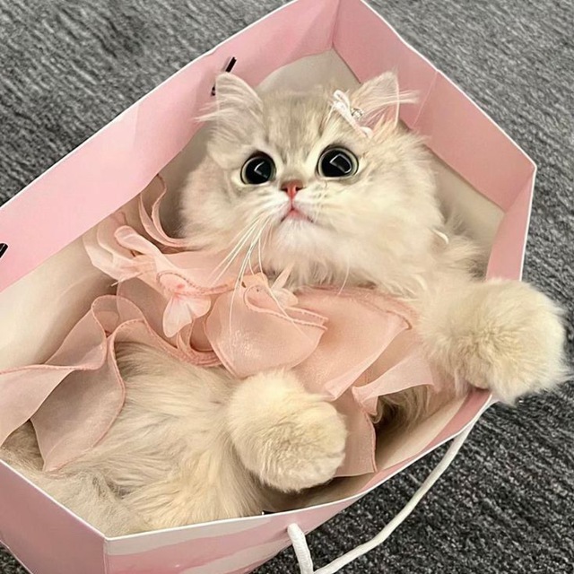 Аватар канала 𝒉𝒆𝒂𝒗𝒆𝒏.𝒘𝒃 ༉‧₊˚.