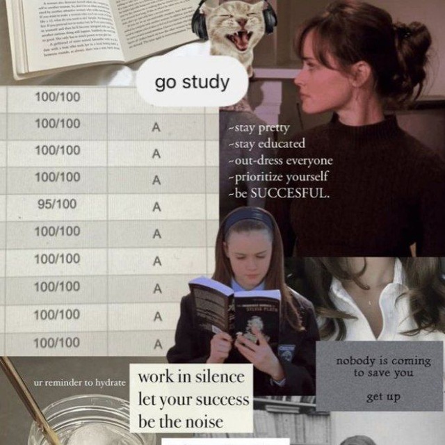 Аватар канала studyblr.