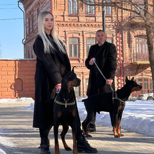 Аватар канала Doberman Pride