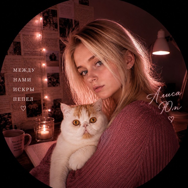 Аватар канала Алиса, кот и young adult // Алиса Ют