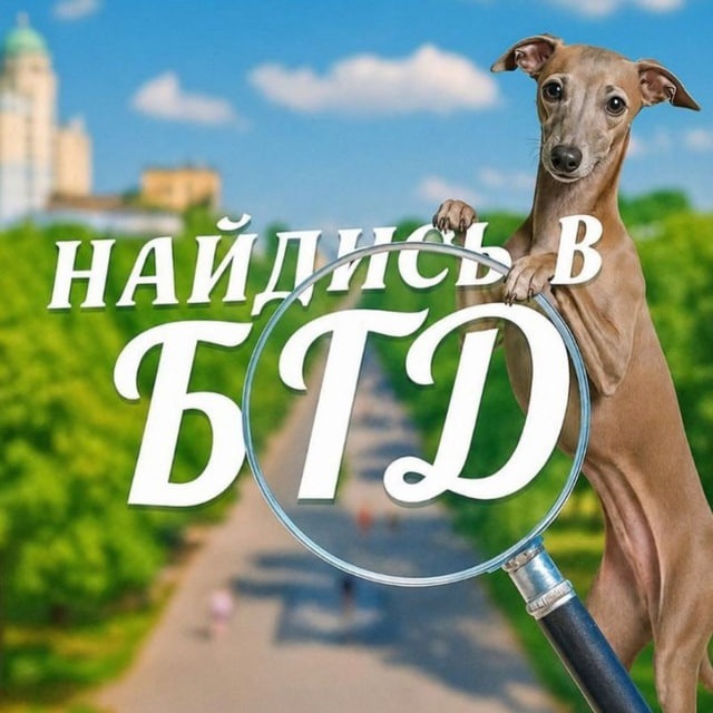 Аватар канала Найдись в бгд🔍