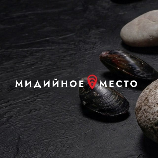 Аватар канала МИДИЙНОЕ МЕСТО Россия