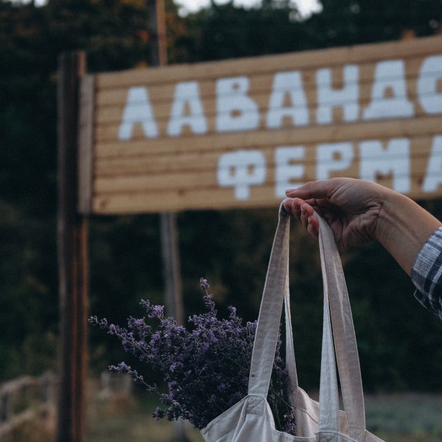 Аватар канала Лавандовая ферма "Лаванда и ЛЕС"
