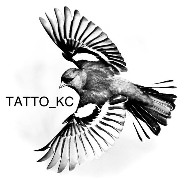 TATTO_KC