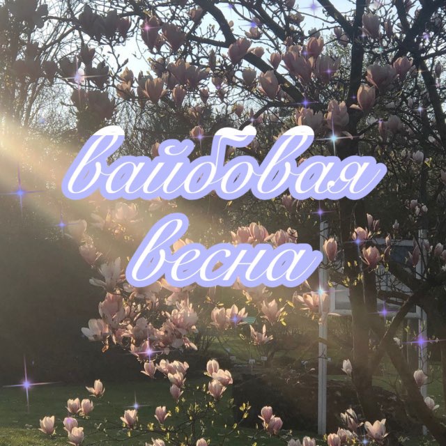 Аватар канала вайбовая весна✨