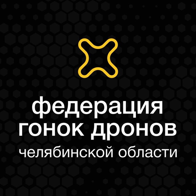 Аватар канала Федерация гонок дронов Челябинской области