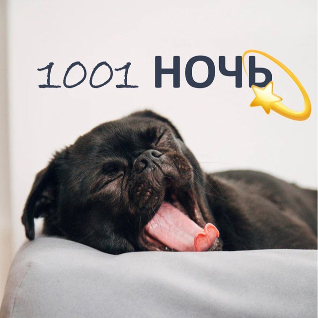 Аватар канала 1001 НОЧЬ✨