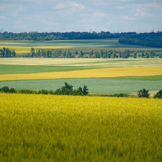 Аватар канала Farm in Russia