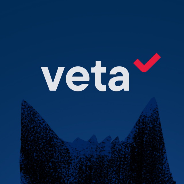 Аватар канала Экспертная группа Veta