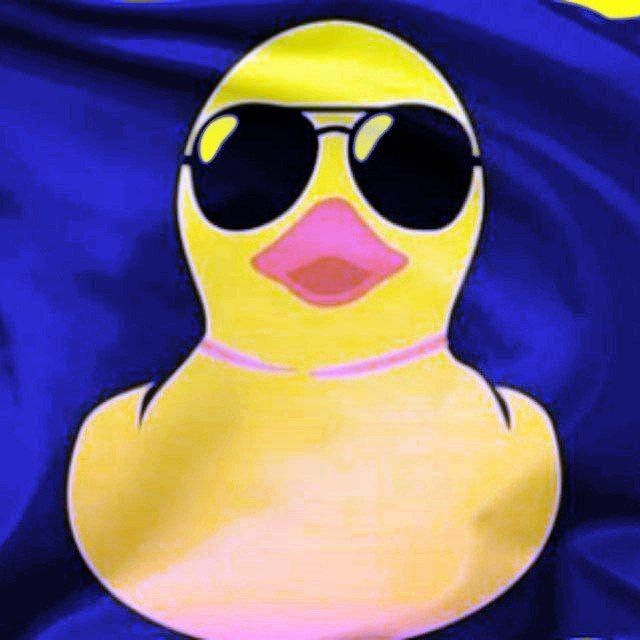 Аватар канала Meu Pato Cursos (Acesso)