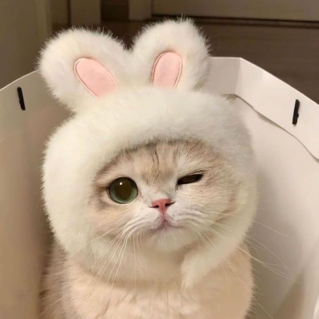 Я хочу