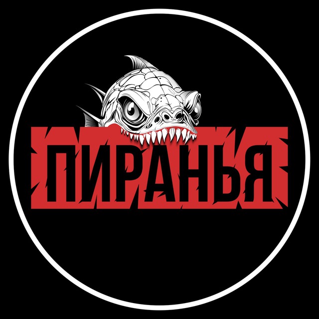 Аватар канала 🇷🇺ПИРАНЬЯ FPV🇷🇺