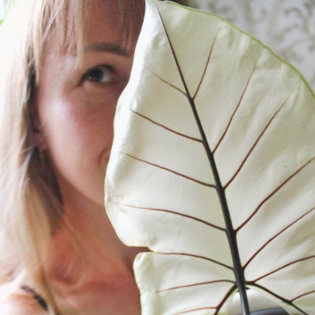 Аватар канала Дочь биолога🌳