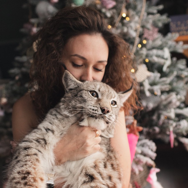 Аватар канала KatyaBobCat(Бытовуха)