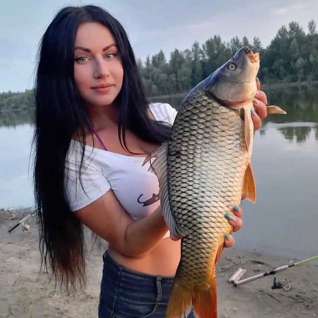 Аватар канала Охота | Рыбалка | Отдых