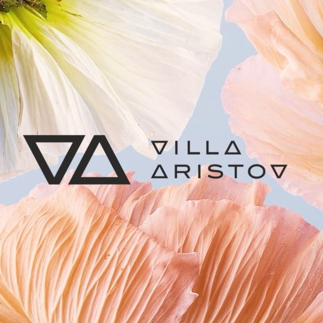 Аватар канала VILLA ARISTOV
