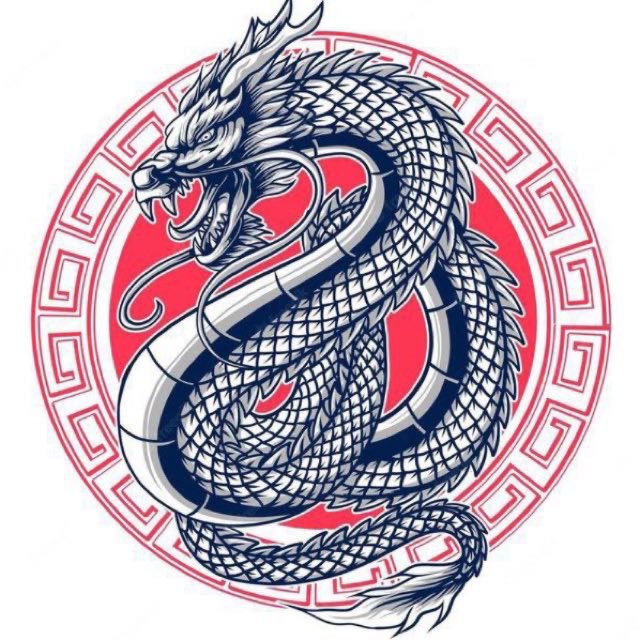 Аватар канала 看涨中國人 🇨🇳 DRAGON CALL ☏